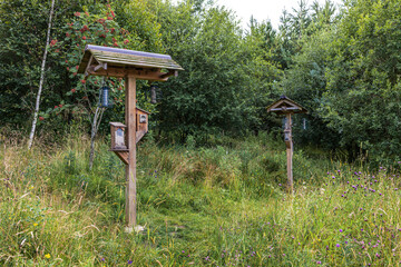 Covered wooden wild bird feeding stations, bird tables and feeders beside woodland