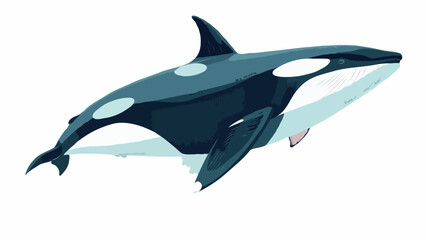 Fototapeta premium Stilisierte Orca-Illustration