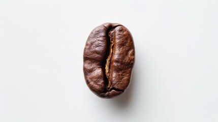 Obraz premium Standard sized coffee bean on a white backdrop