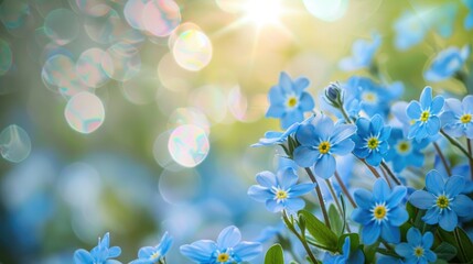 Spring background with blue flowers