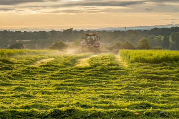 Farm tractor and mower cutting hay field at sunset, dust rising into air