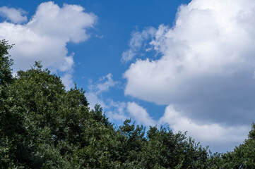 真夏の青空と白い雲