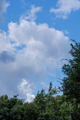 Fototapeta premium 真夏の青空と白い雲