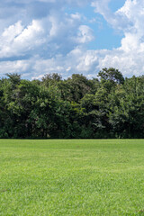真夏の公園の芝生と夏空