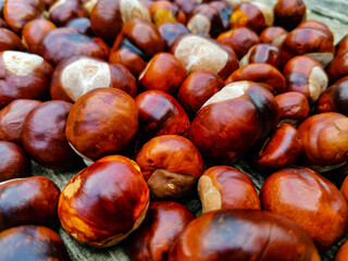 Ripe chestnuts lie on a wooden surface