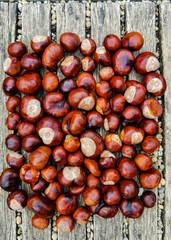 Ripe chestnuts lie on a wooden surface