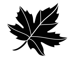 Fototapeta premium Maple leaf plant element - vector silhouette image for stencil, logo or pictogram. Maple leaf for sign, icon or stencil