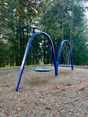 Swing in the Park 