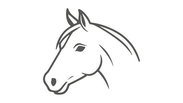 horse head outline illustration in vector