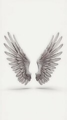 Obraz premium Pair of isolated angel wings with 3D feathers on white background, 3D Illustration, 3D Rendering