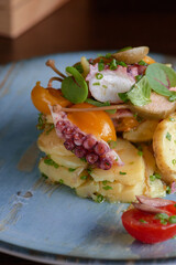 octopus cerved detail