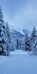 Obraz premium Winter landscape
