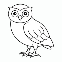 burrowing owl white background