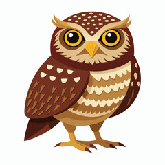 burrowing owl white background