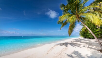 a tropical beach with palm trees swaying in the breeze clear turquoise waters and white sand stretching to the horizon capturing the idyllic beauty of a paradise getaway