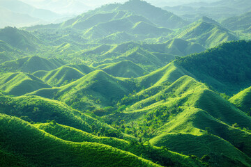 Fototapeta premium Panoramic View of Verdant Hills and Valleys.