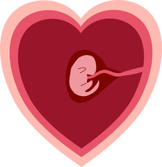 Human embryonic development