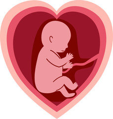 Human embryonic development