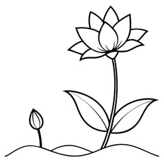  Flower in the plot line art illustration in white background