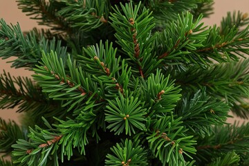 Bright Green Juniper Sprigs Composition for Holiday Tree Clip Art