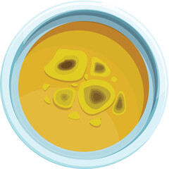 Petri dish with colonies of bacteria growing in yellow culture medium