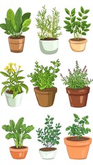 Fototapeta premium A diverse collection of indoor plants in various pots, perfect for enhancing home decor and adding a touch of nature.