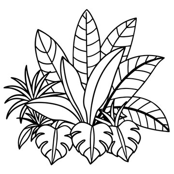 recommend clip art: jungle foliage outline coloring book page line art drawing