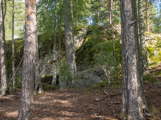landscape with high rocks