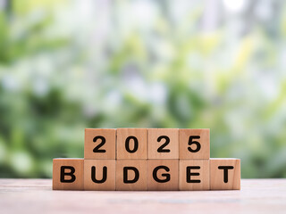 Wooden blocks with the word BUDGET and number 2025. The concept about budget planning and...
