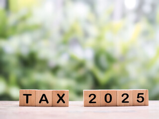 Wooden blocks with the word TAX and number 2025. The concept of prepare to pay tax in year 2025