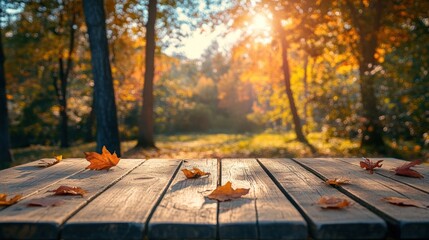 Closeup of wooden table with fall leaves in a blurred forest background with warm sunlight.