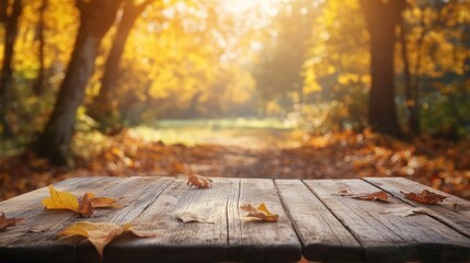 Wooden Table with Fallen Leaves in Autumn Forest.