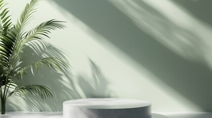 Fototapeta premium Simple minimalist podium stage green wall with shadow from window and palm leaves