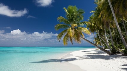 beach with palm trees