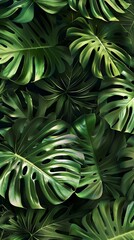 Tropical leaf Wallpaper, Luxury nature leaves pattern design