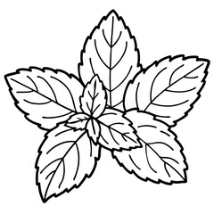mint leaves outline coloring book page line art drawing
