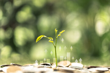 Sustainable investments focus on reducing carbon emissions, aligning financial strategies,...