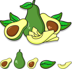 Illustration of avocado fruit