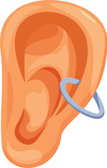 Realistic vector illustration of a human ear with an outer cartilage helix piercing