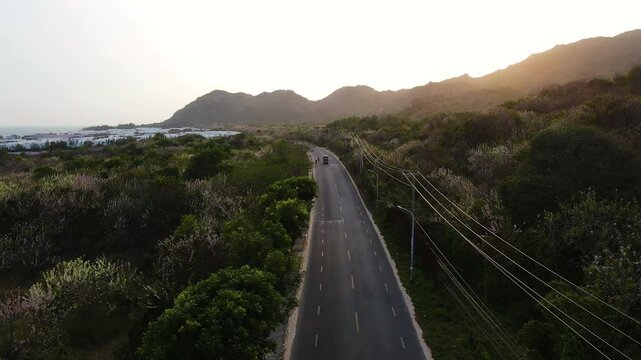 Gliricidia maculata also know Do Mai flower in VIetnamese. 
Gliricidia maculata bloom on the coastal road in Phuoc Hai town, Vietnam