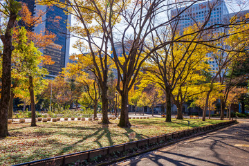 日本の風景・秋　東京都千代田区　紅葉の日比谷公園