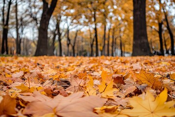 Orange fall leaves in park, autumn natural background , ai