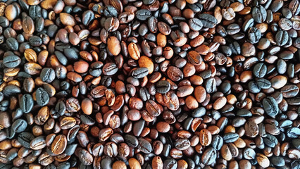 Roasted coffee beans are ready to be ground
