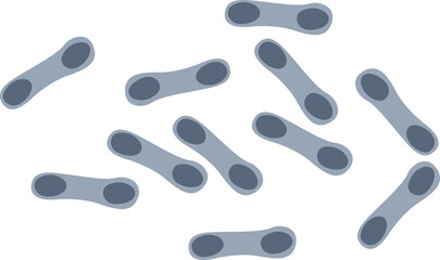 Corynebacterium Diphtheriae Bacteria