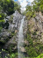 Obraz premium Waterfall Cascading Down a Rocky Cliff in Lush Forest