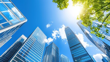 Modern Skyscrapers with Blue Sky and Green Tree Branches
