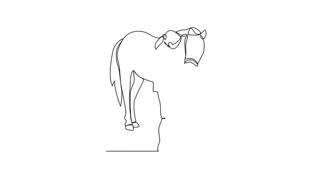 Animated self drawing of 
someone is leading his horse video illustration. Animal themes design concept in simple linear style vector. Good asset for educational presentation animal purpose.
