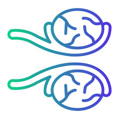 testicles Line Gradient Icon