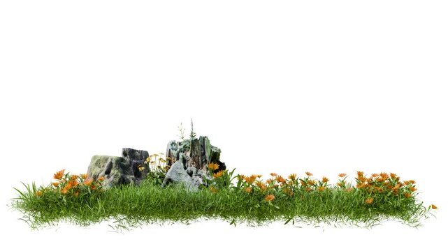 footage grass row field and death tree stump 