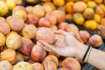 Hand Holding Ripe Fruit in Market